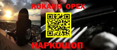 крисы Коммунар