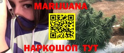 крисы Коммунар